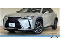 2020 Lexus Other