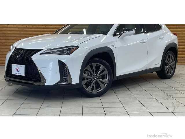 2019 Lexus Other