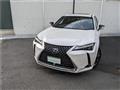 2019 Lexus Other