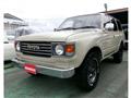 1995 Toyota Land Cruiser