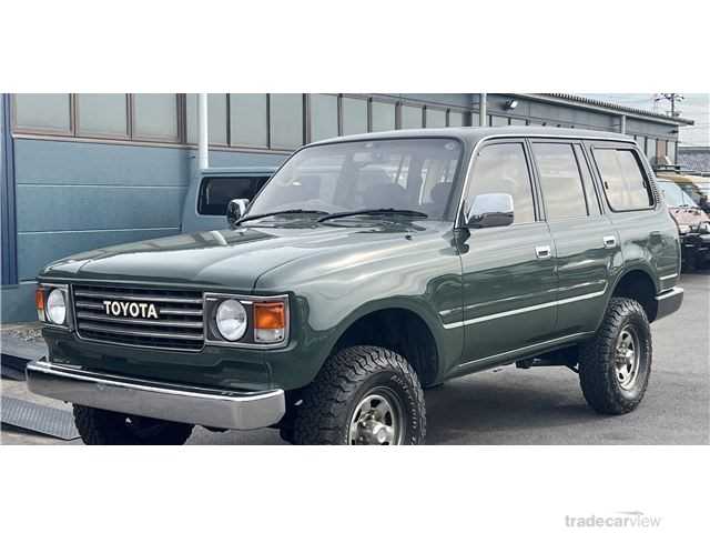 1993 Toyota Land Cruiser