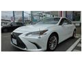 2020 Lexus ES