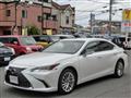 2020 Lexus ES