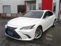 2020 Lexus ES