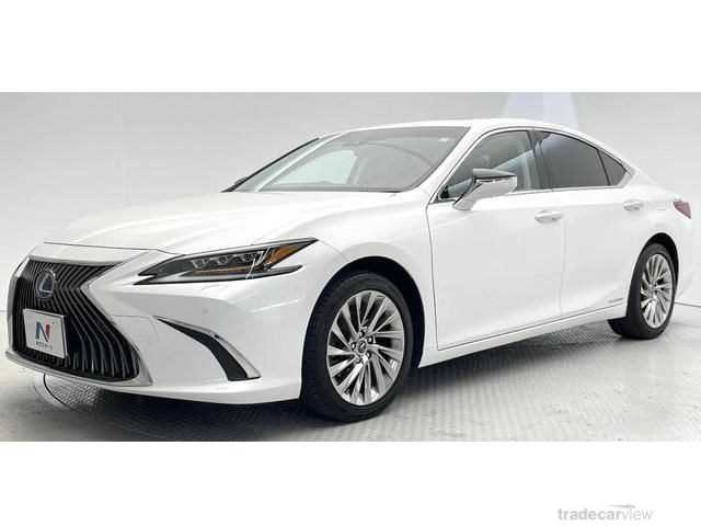 2020 Lexus ES