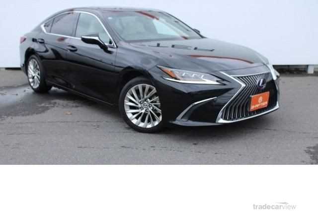 2019 Lexus ES