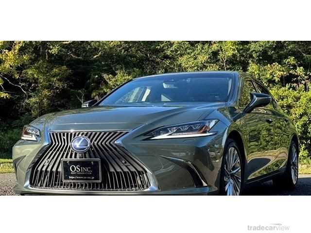 2019 Lexus ES