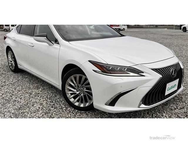 2019 Lexus ES