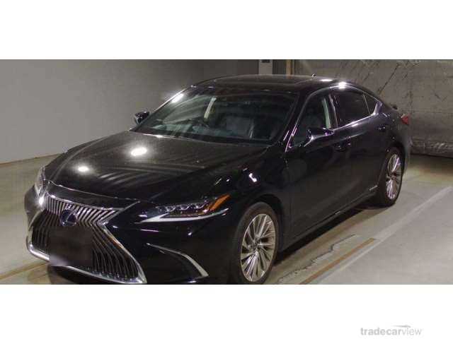 2019 Lexus ES