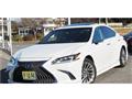 2019 Lexus ES