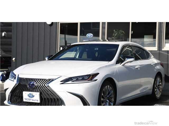 2019 Lexus ES