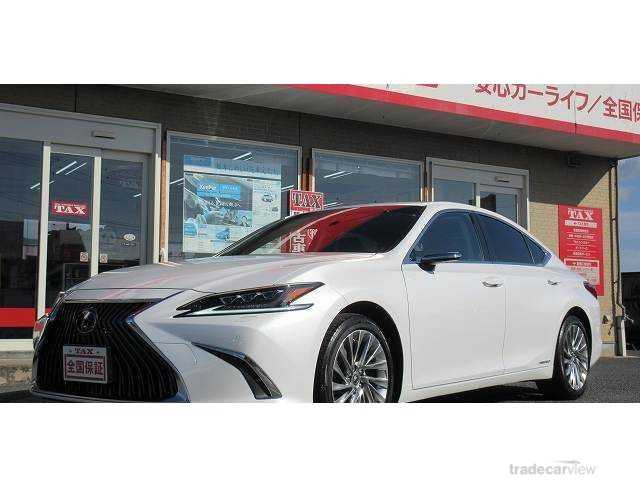 2019 Lexus ES