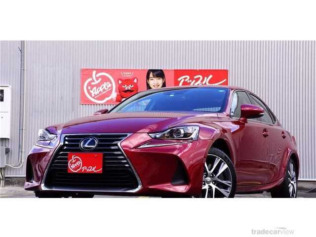 2019 Lexus IS