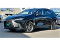 2024 Lexus NX