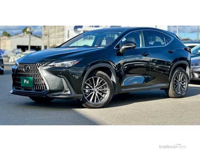 2024 Lexus NX