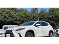 2024 Lexus NX