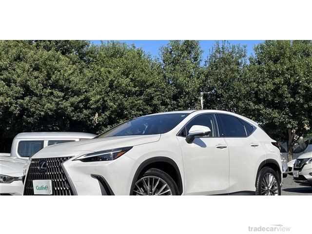 2024 Lexus NX