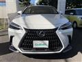 2024 Lexus NX