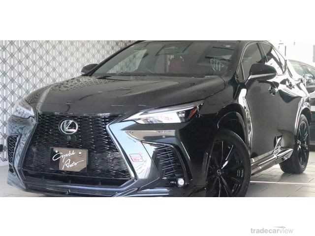 2024 Lexus NX