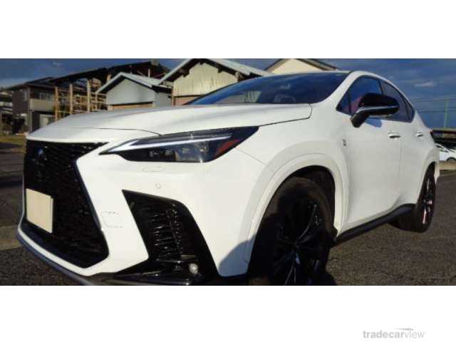 2024 Lexus NX