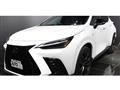 2024 Lexus NX