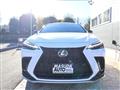 2024 Lexus NX