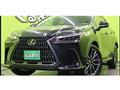 2023 Lexus NX