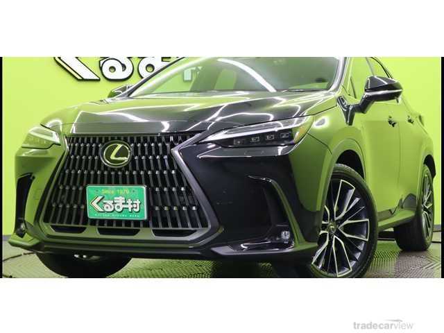 2023 Lexus NX