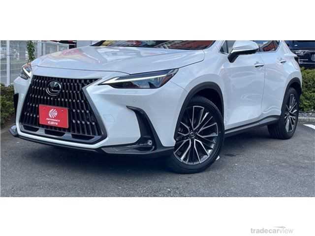 2023 Lexus NX