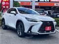 2023 Lexus NX