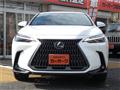 2023 Lexus NX