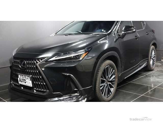 2023 Lexus NX