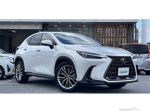 2023 Lexus NX