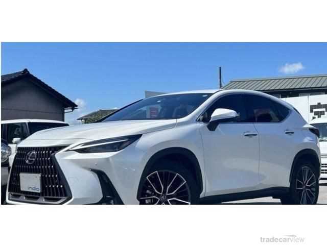 2023 Lexus NX