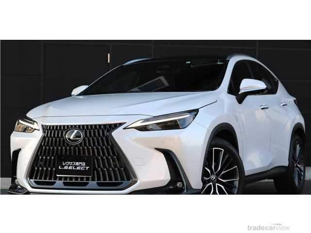 2023 Lexus NX