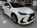 2023 Lexus NX