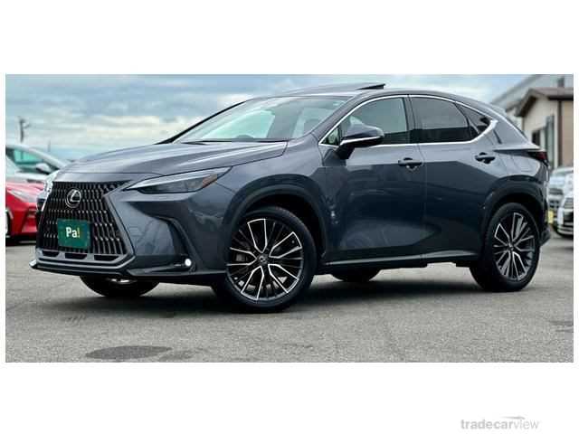 2023 Lexus NX