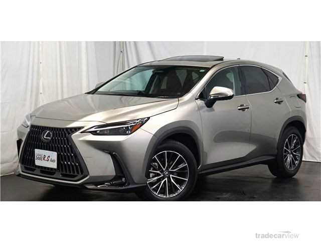 2023 Lexus NX