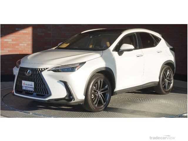 2023 Lexus NX