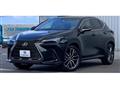 2023 Lexus NX