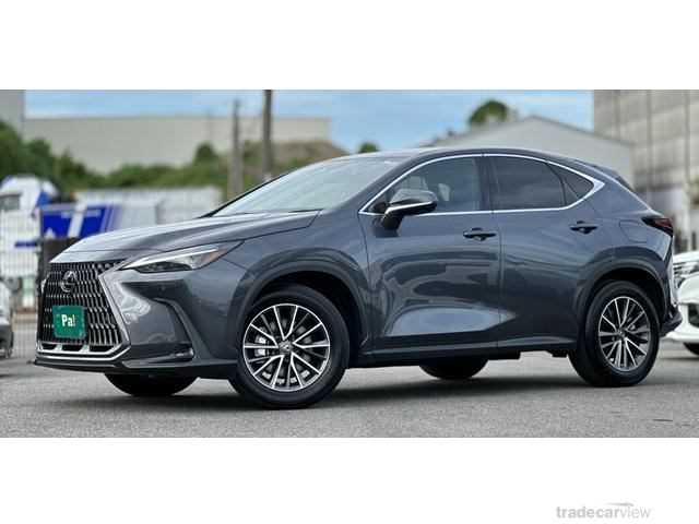 2023 Lexus NX