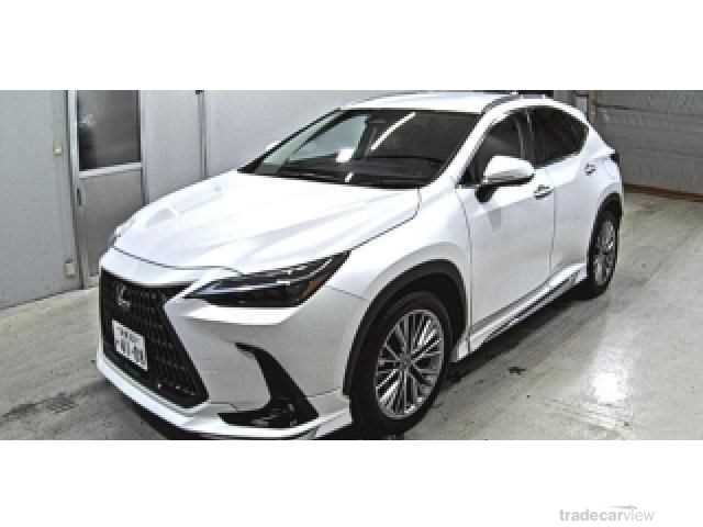 2023 Lexus NX