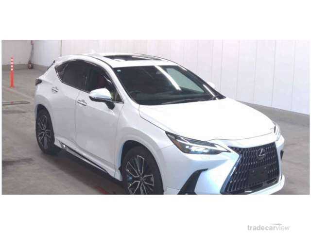 2023 Lexus NX