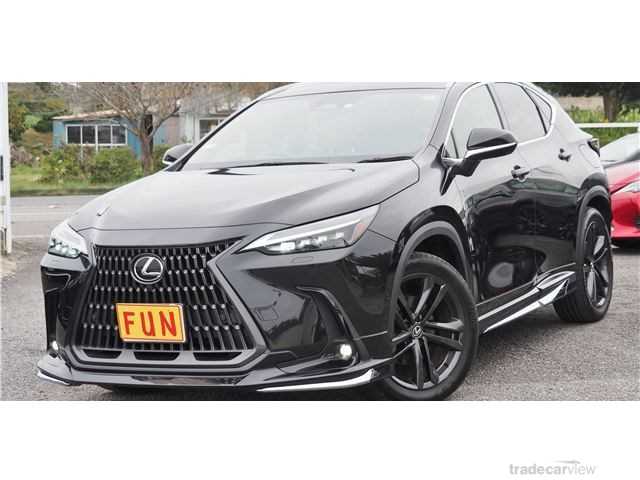 2023 Lexus NX