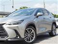 2023 Lexus NX