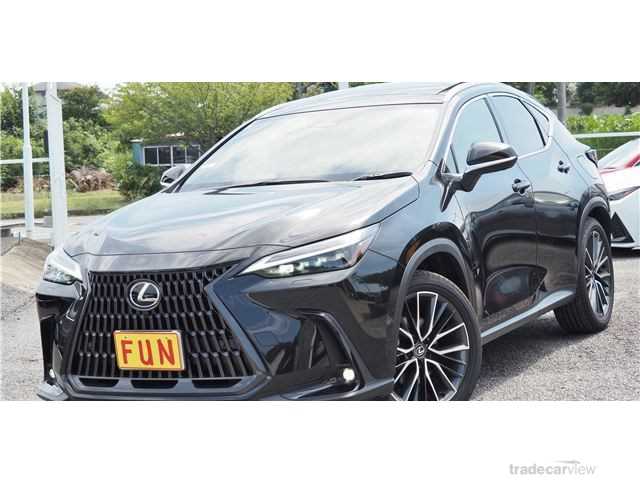 2023 Lexus NX