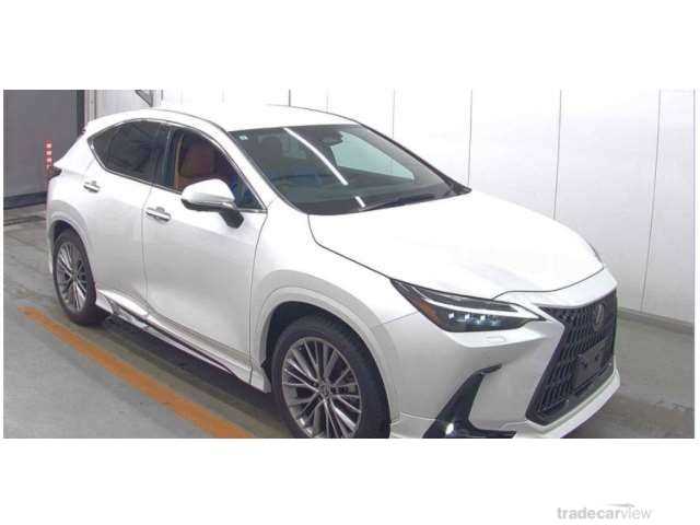 2023 Lexus NX