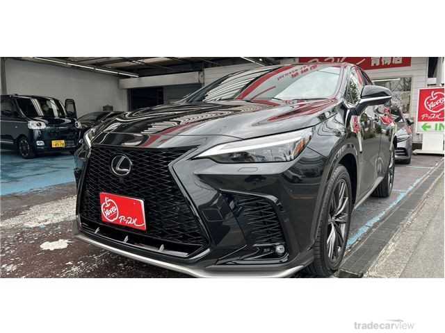 2023 Lexus NX