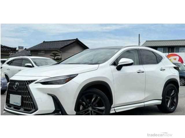 2023 Lexus NX