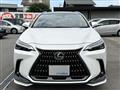 2023 Lexus NX